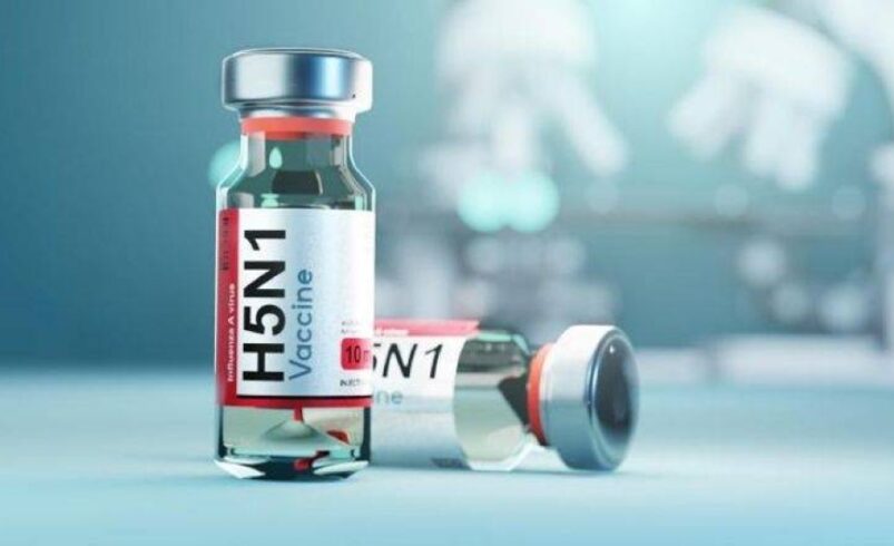 لقاح أنفي لإنفلونزا الطيور